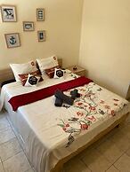 City Comfortable Apartment