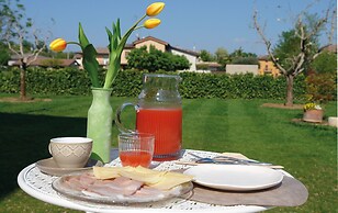 B&B Erilla