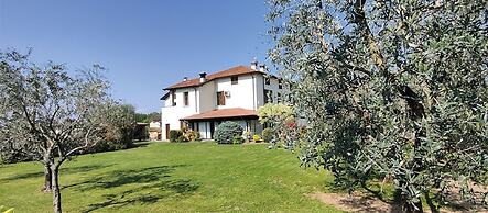 B&B Erilla