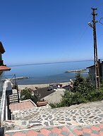 Tsira Suite