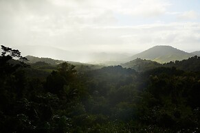 SELVA by DW