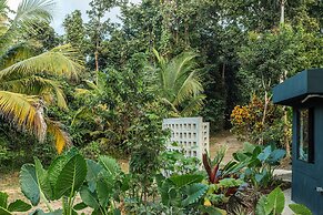 SELVA by DW