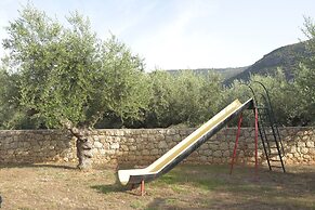 Liodentra