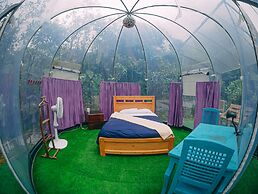 Cassacha Glamping