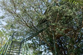 Bamboo banks