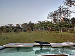 Bamboo banks