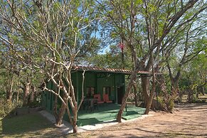 Bamboo banks
