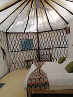 Kuha Glamping