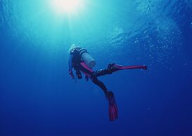 Native Sea Amami