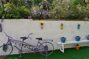 Sorrento Experience