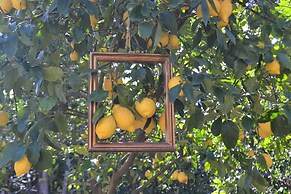 Sorrento Experience