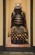 The Edo Sakura