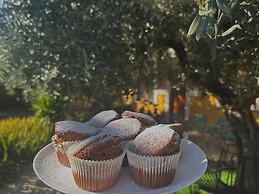 B&B Mariposa