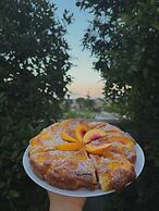 B&B Mariposa