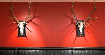 Feldmilla Design Hotel – Wellness & SPA