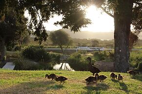 Russell - Orongo Bay Holiday Park