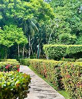 Hotel Nututun Palenque
