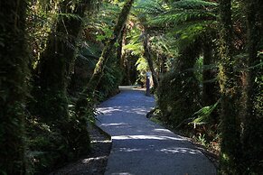 Rainforest Retreat