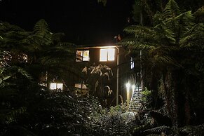 Rainforest Retreat