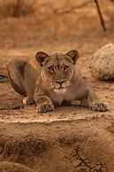 Moditlo River Lodge