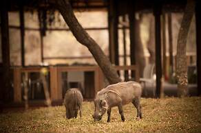 Moditlo River Lodge