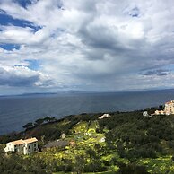 Hotel Dania