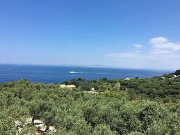 Hotel Dania