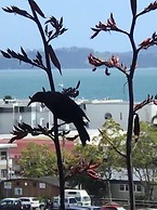 Bay Cabinz Motel