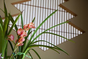 Hinodeya Ryokan
