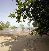 The Beach House