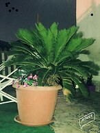 Camelot B&B Palermo