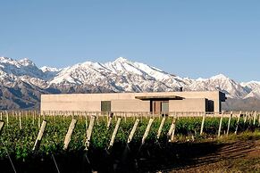 The Vines Resort & Spa