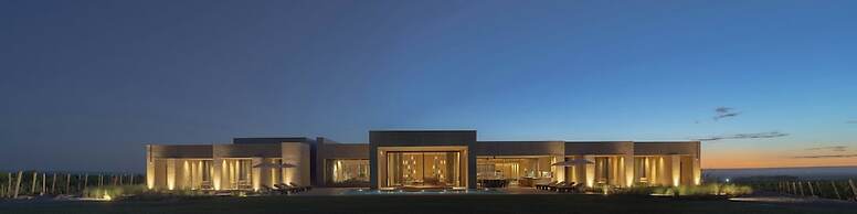 The Vines Resort & Spa