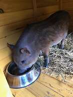 Hotel la Grange - Animal Chic Hotel