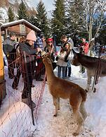 Hotel la Grange - Animal Chic Hotel
