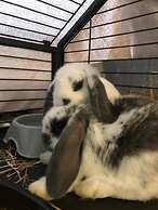 Hotel la Grange - Animal Chic Hotel