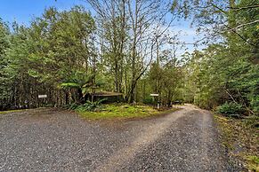 Cradle Forest Inn