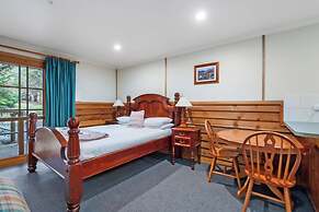 Cradle Forest Inn