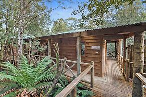 Cradle Forest Inn