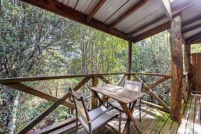 Cradle Forest Inn