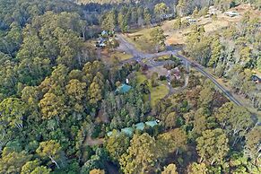 Cradle Forest Inn