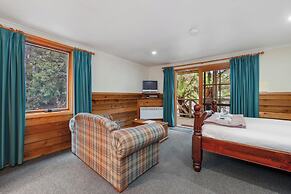 Cradle Forest Inn