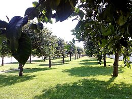 Agriturismo Terra dei Limoni