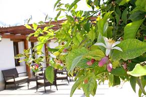 Agriturismo Terra dei Limoni