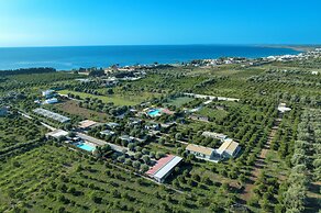 Agriturismo Terra dei Limoni