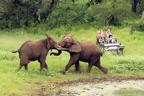Thanda Safari