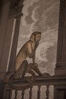Ca' della Scimmia