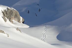 Fernsicht Alpen-Apartments