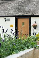 The Dolfor Inn Adults only
