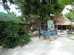 Sea Turtle House